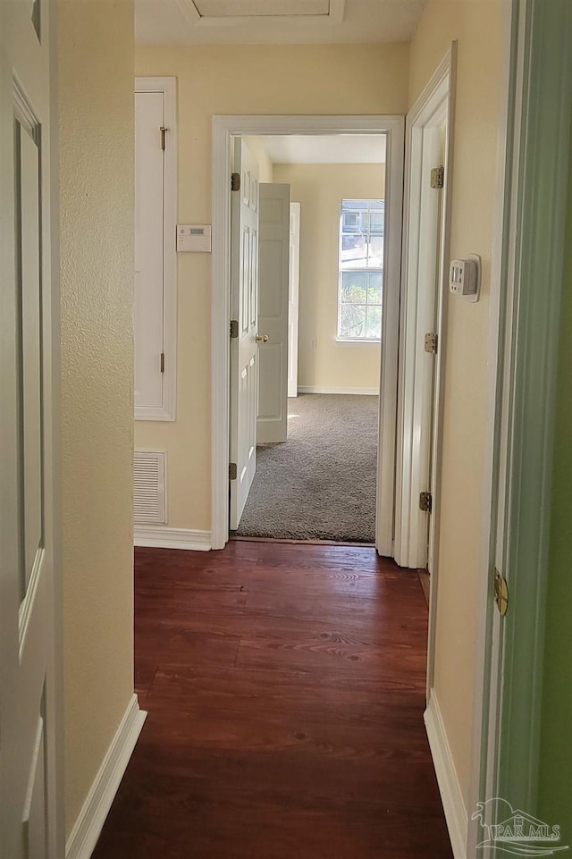 hall featuring dark wood-type flooring