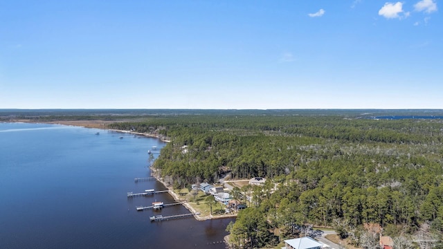 birds eye view of property with a water view and a wooded view