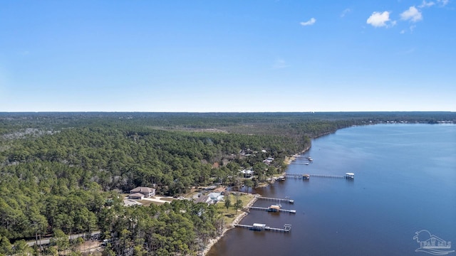 aerial view featuring a water view and a view of trees