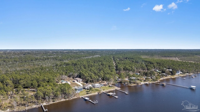 bird's eye view with a water view and a wooded view