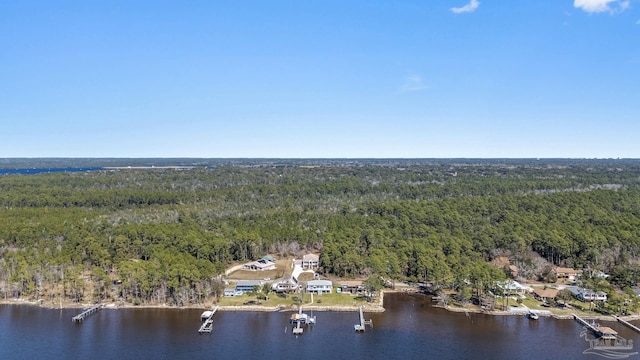 birds eye view of property featuring a water view and a wooded view