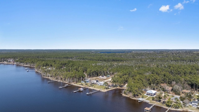 drone / aerial view with a water view and a forest view