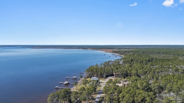 birds eye view of property featuring a water view and a view of trees