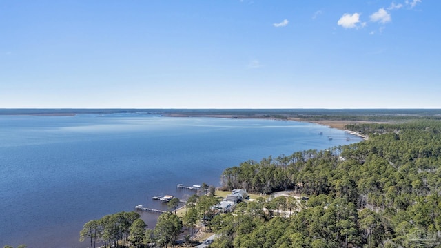 property view of water with a view of trees