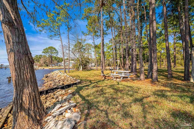 view of yard featuring a water view