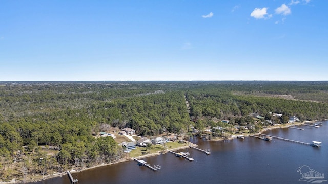 aerial view featuring a water view and a view of trees