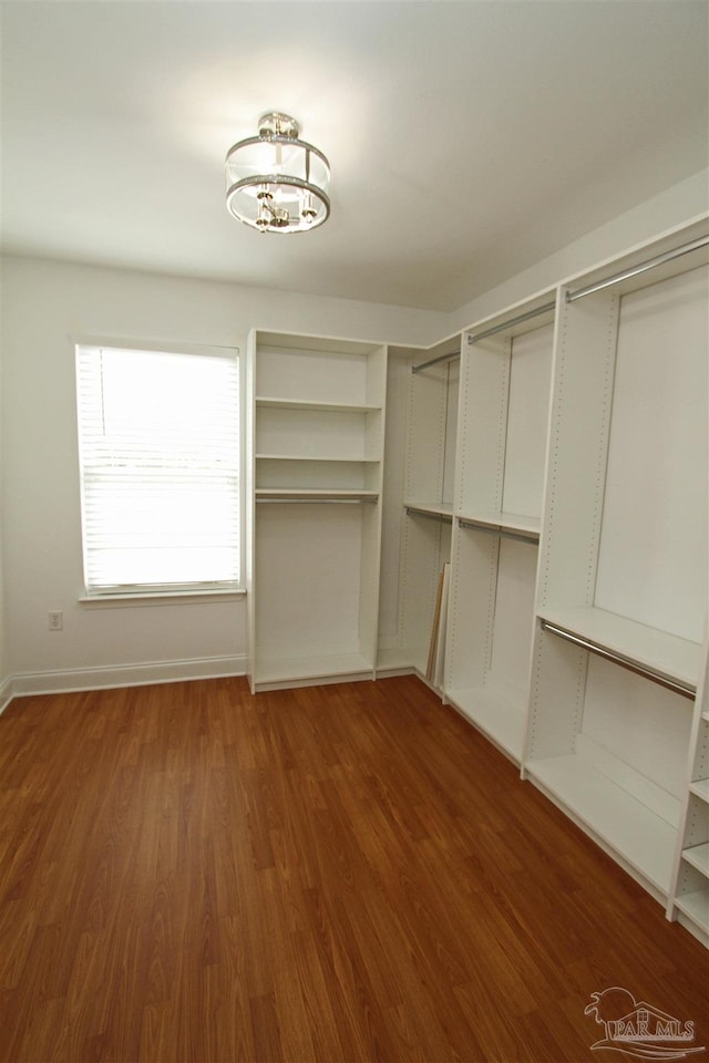 spacious closet featuring wood-type flooring