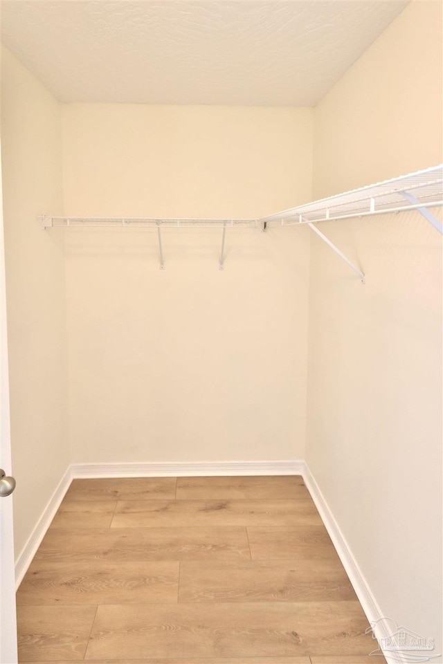 2608 Salamanca St, Navarre, FL 32566 - walk in closet featuring light wood-type flooring