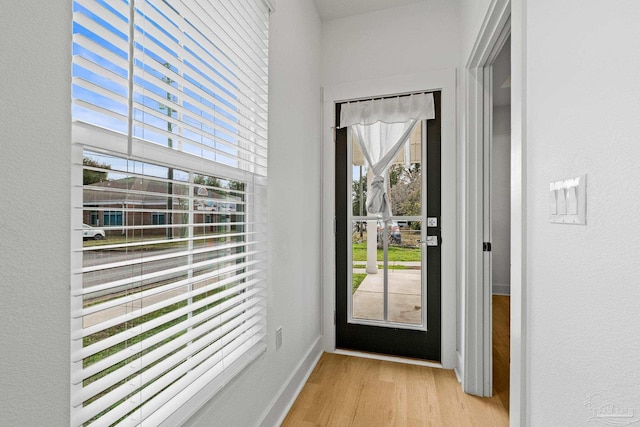 entryway featuring plenty of natural light and light wood-type flooring