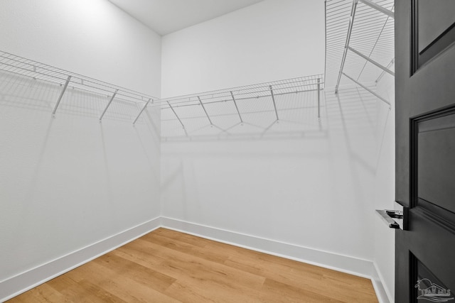 spacious closet featuring hardwood / wood-style floors