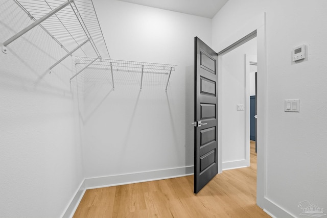 walk in closet featuring hardwood / wood-style floors