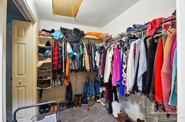 2738 Garcon Point Rd, Milton, FL 32583 - spacious closet featuring attic access and carpet floors