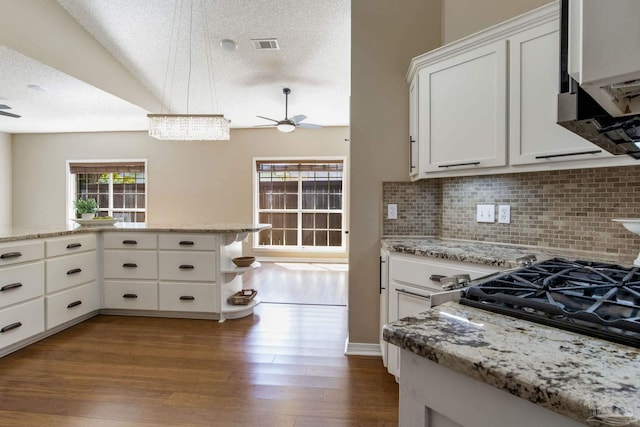 kitchen with ceiling fan, a textured ceiling, wood finished floors, and decorative backsplash