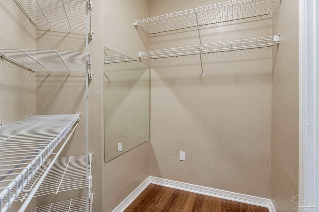 walk in closet with wood finished floors