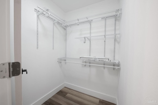 spacious closet with wood-type flooring