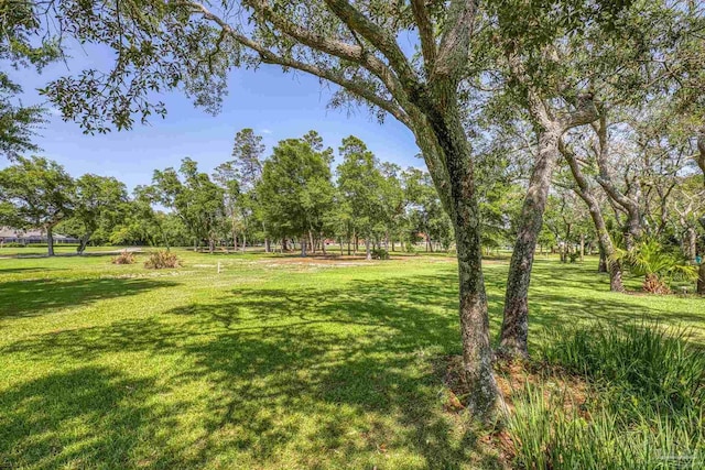 view of green lawn