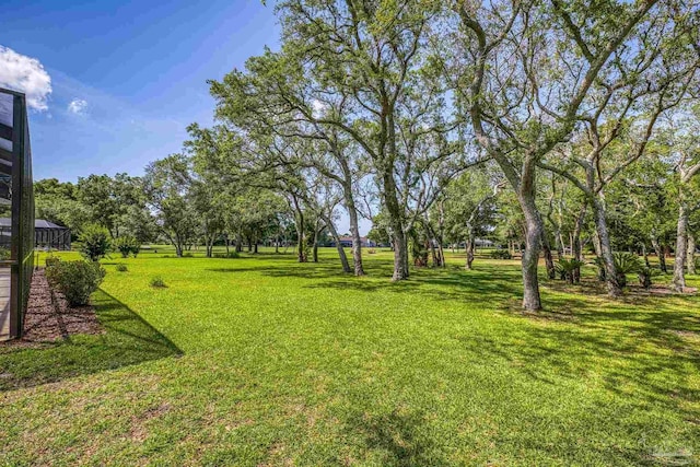 view of green lawn