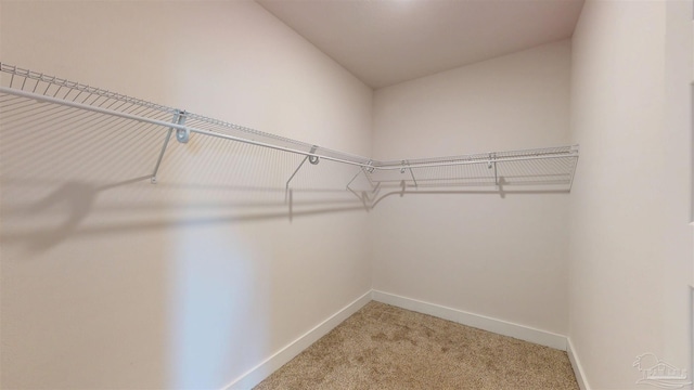 720 Brambling Ct, Cantonment, FL 32533 - walk in closet featuring light carpet