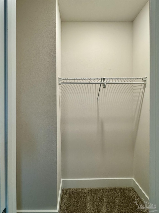 720 Brambling Ct, Cantonment, FL 32533 - walk in closet with carpet flooring