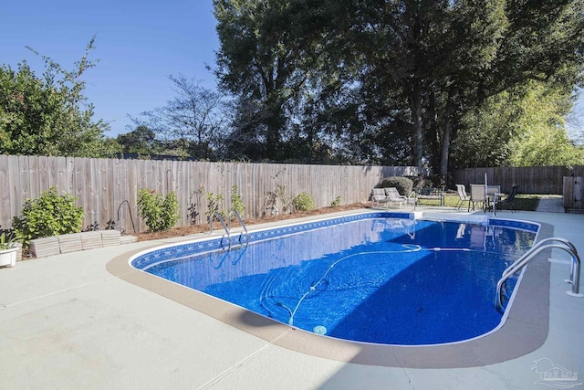 view of swimming pool featuring a patio