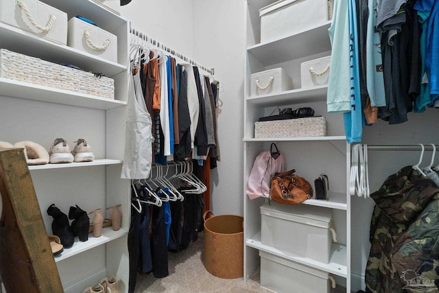 7908 Majestic Cypress Dr, Milton, FL 32583 - spacious closet with carpet floors