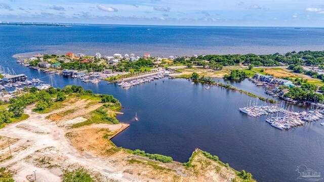 bird's eye view with a water view