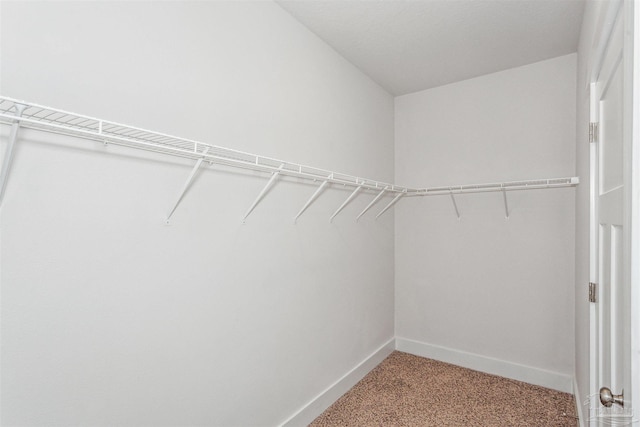 walk in closet featuring carpet