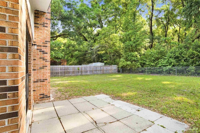 view of yard with a patio area and a fenced backyard