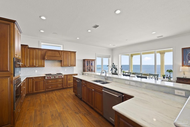 kitchen with dark wood finished floors, custom exhaust hood, a water view, appliances with stainless steel finishes, and a sink