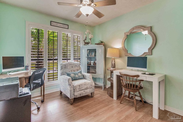 office featuring ceiling fan and light hardwood / wood-style flooring