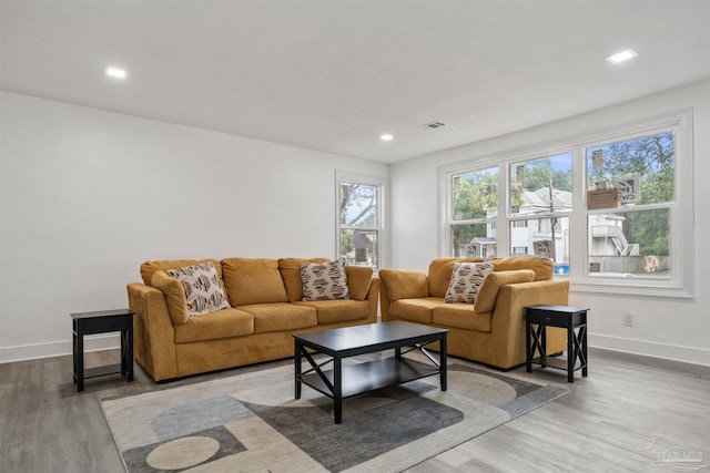 living room featuring hardwood / wood-style flooring