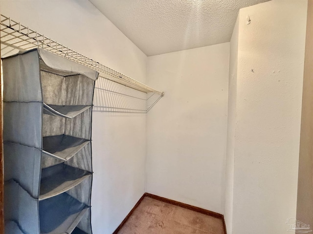 spacious closet featuring carpet flooring