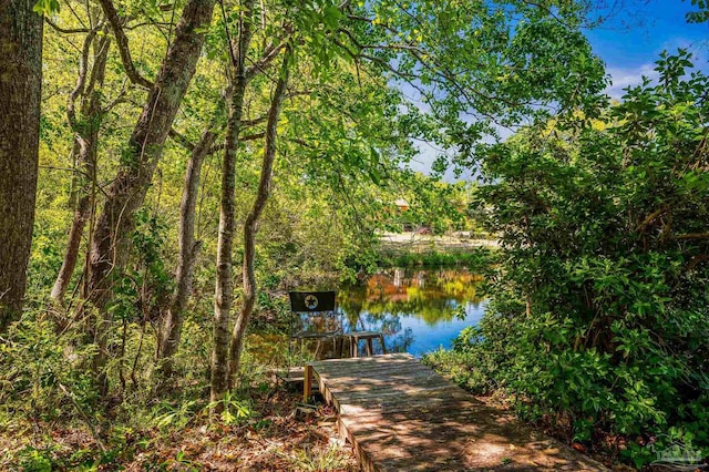 dock area featuring a water view