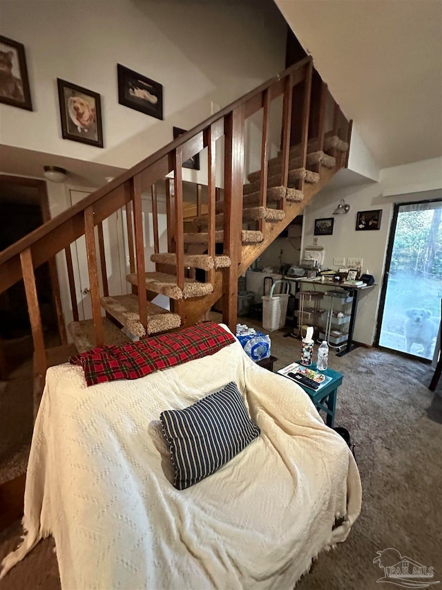 interior space with carpet