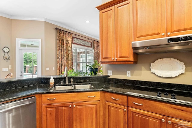 1788 Lorain Cir, Cantonment, FL 32533 - kitchen featuring stainless steel dishwasher, ventilation hood, a sink, healthy amount of natural light, and crown molding