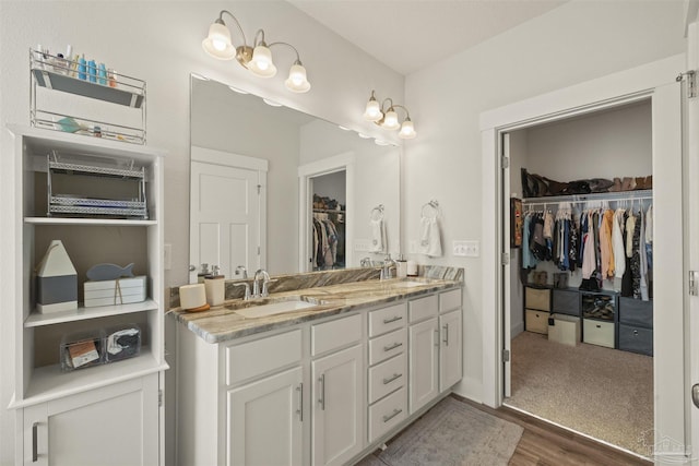 bathroom featuring hardwood / wood-style floors and vanity