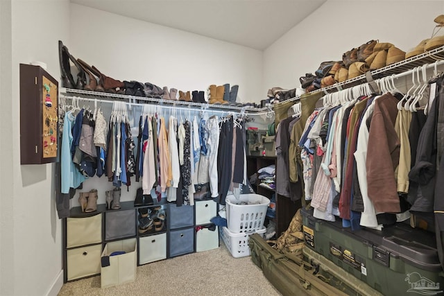 spacious closet featuring carpet flooring