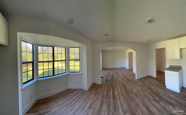 unfurnished living room featuring a textured ceiling, wood-type flooring, and a wealth of natural light