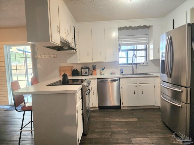 kitchen featuring a textured ceiling, under cabinet range hood, dark wood-type flooring, stainless steel appliances, and a sink