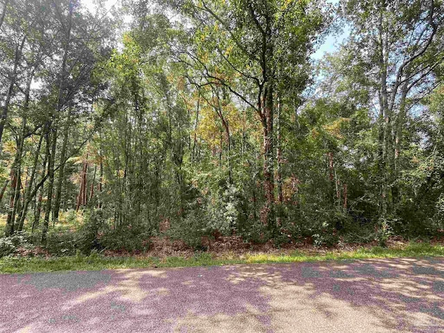 Listing photo 2 for 0 Corral Rd, Milton FL 32583