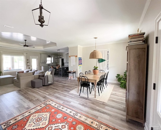 dining area featuring light wood-style flooring, baseboards, ornamental molding, and a ceiling fan