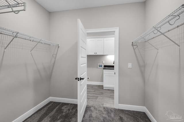 walk in closet with hardwood / wood-style floors