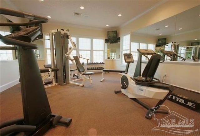 workout area featuring carpet floors, plenty of natural light, and ornamental molding