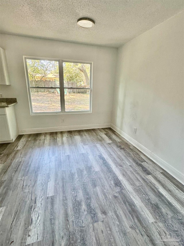 spare room featuring a textured ceiling, hardwood / wood-style flooring, and a healthy amount of sunlight