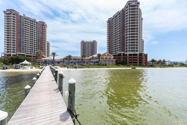 dock area with a water view