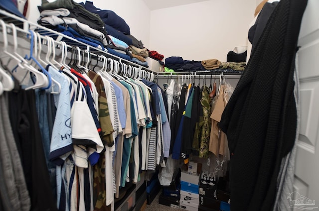 walk in closet with carpet flooring