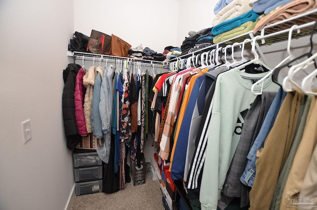 spacious closet with carpet floors