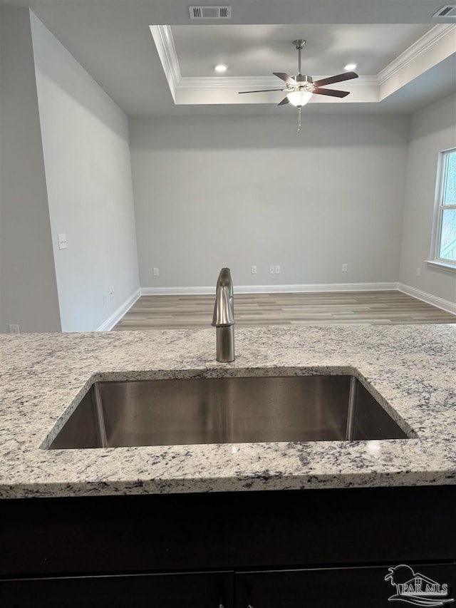 kitchen with crown molding, sink, and a tray ceiling