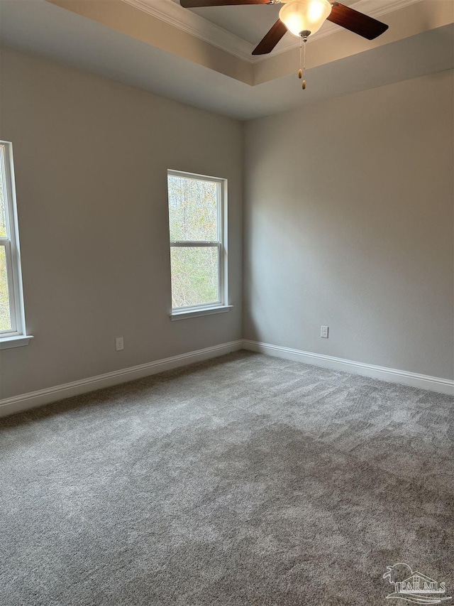 carpeted empty room with ceiling fan and a tray ceiling