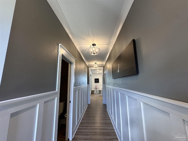 hallway with dark hardwood / wood-style floors and crown molding